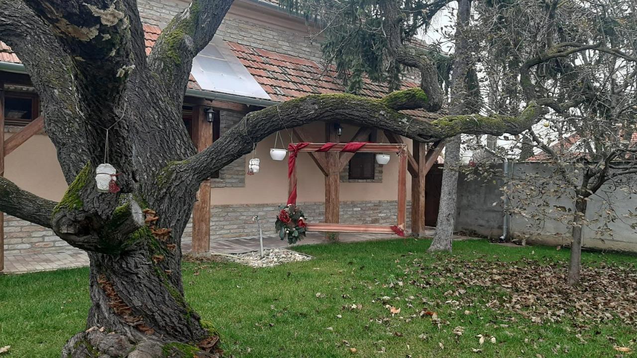 Villa Rusztika Gyula Eksteriør bilde